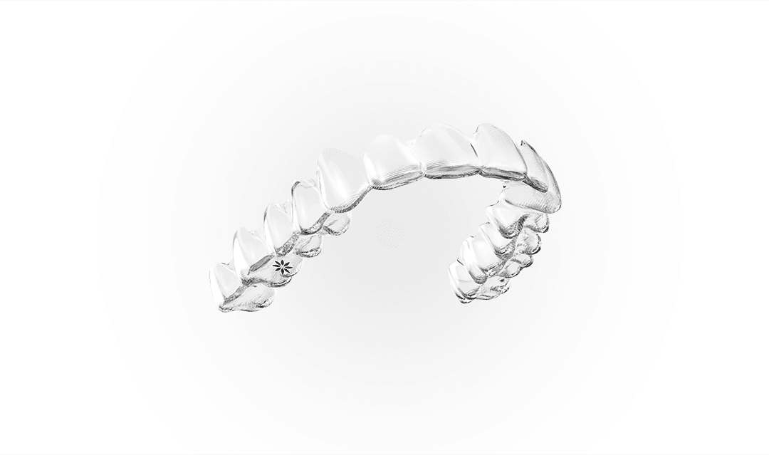 Aligners of Invisalign